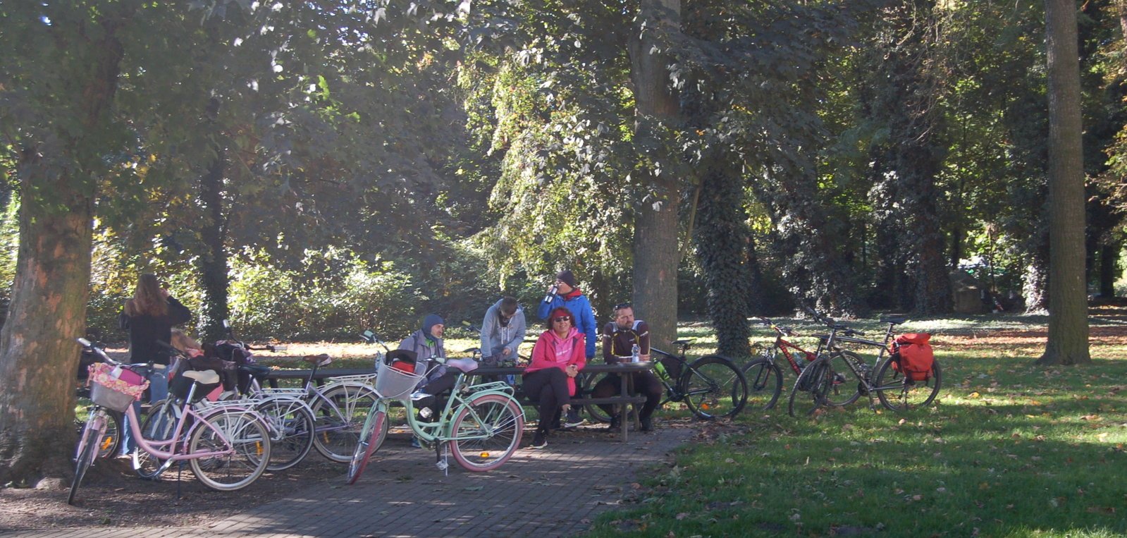 uczestnicy rajdu siedzą na ławkach na terenie szkoły, obok stoją rowery, w tle drzewa