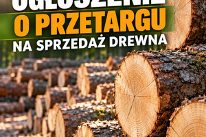 Ogłoszenie o II przetargu na sprzedaż drewna